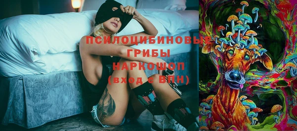 гидропоника Заводоуковск