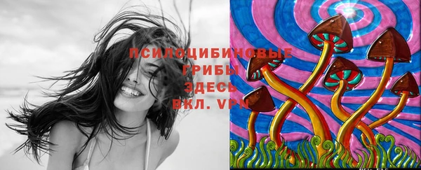 а пвп мука Алексин