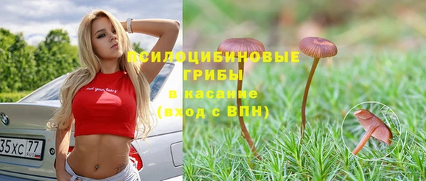 шишки Алексеевка