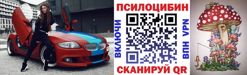 Псилоцибиновые грибы мицелий  купить наркотики сайты  blacksprut ТОР  Приморск 